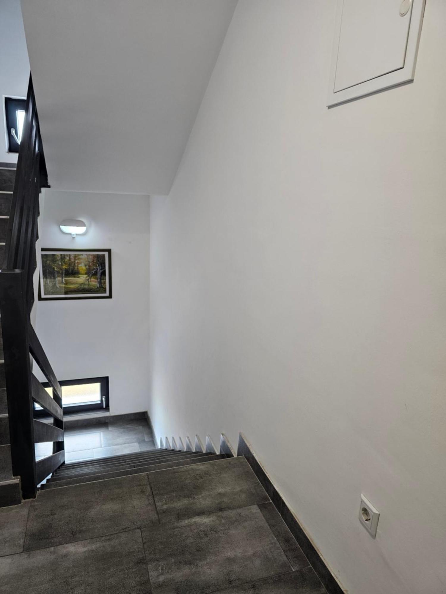 Filipovic Rent A Car & Apartments Selnica Scitarjevska Luaran gambar